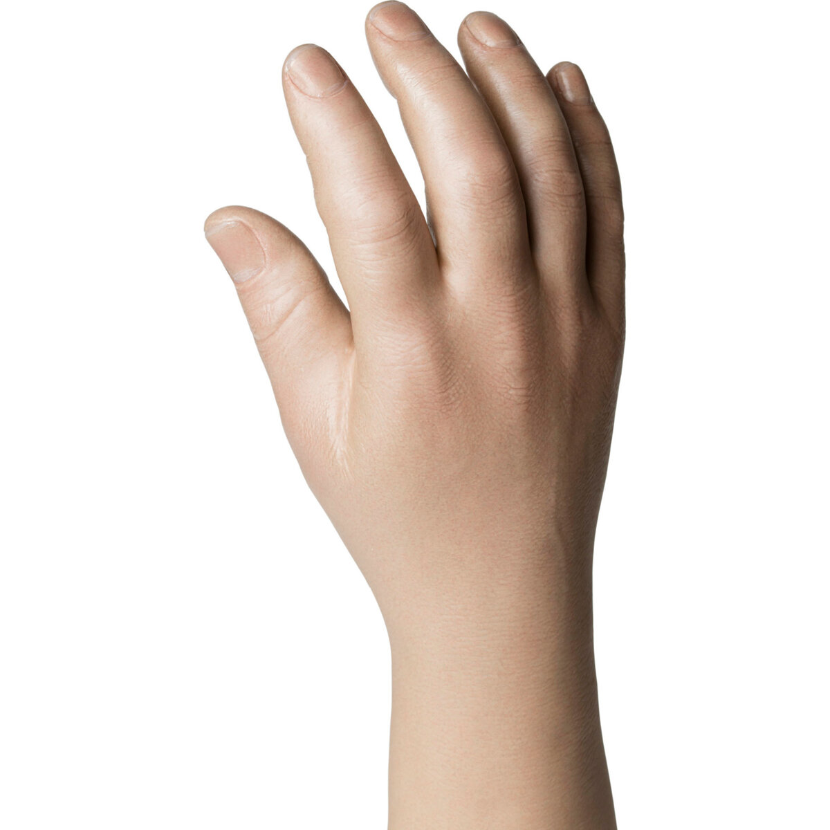 Natural Definition Glove Male – 30919/30920 Stout Plump