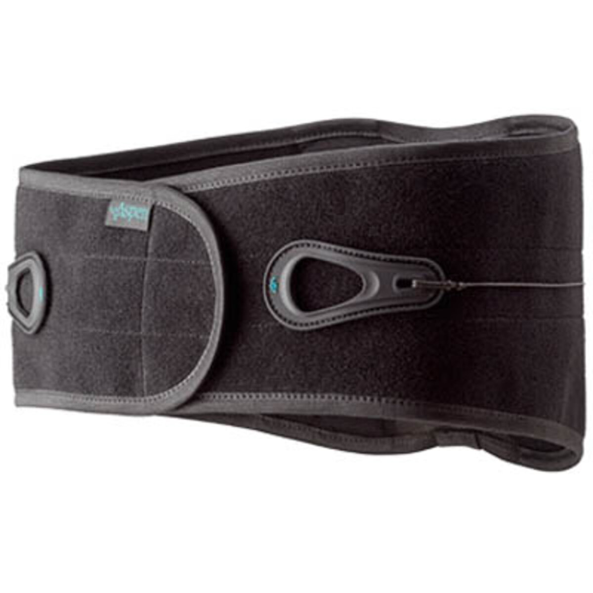 Aspen® Lumbar Support™