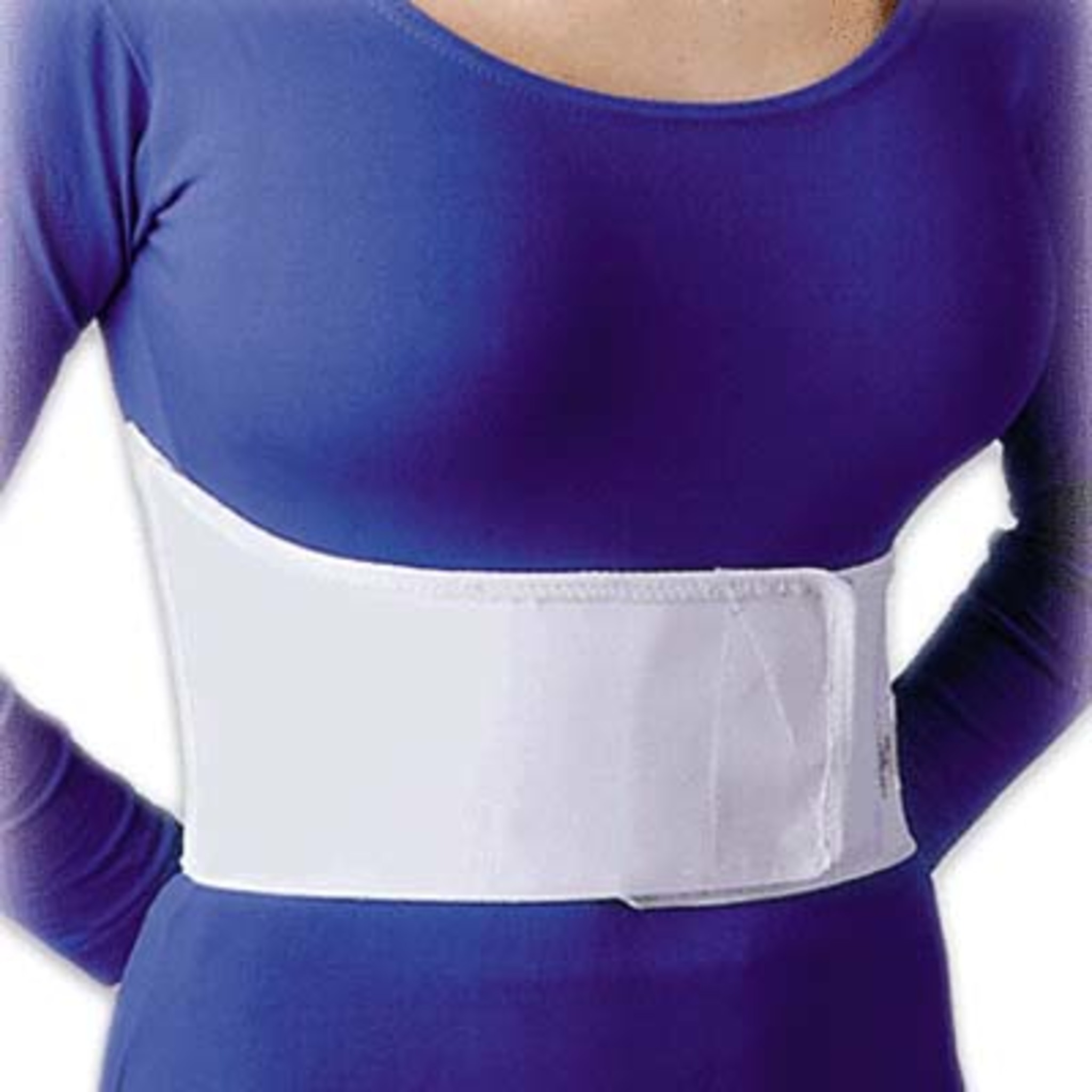 All Elastic Rib Belt Universal