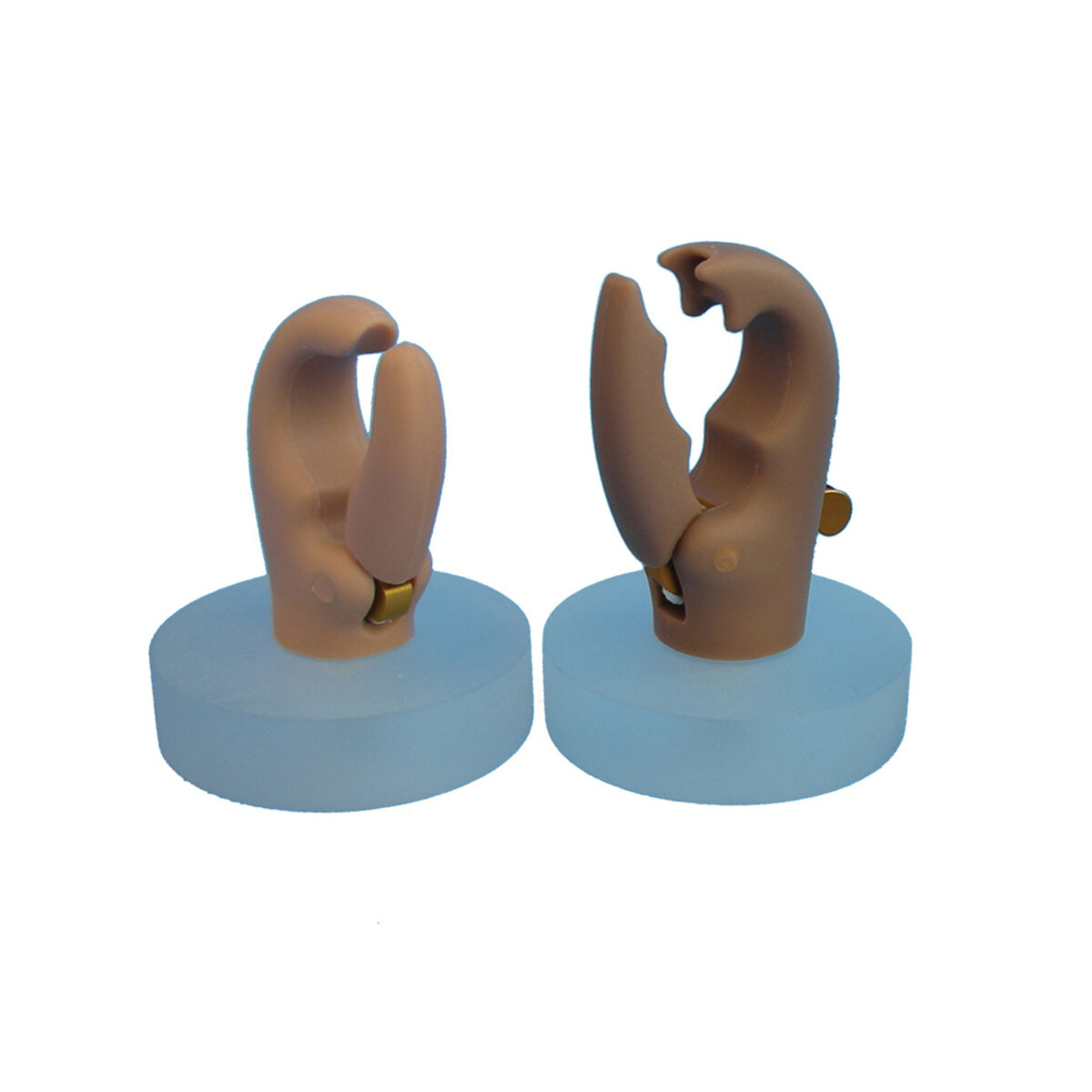 Adept Prehensors - Child