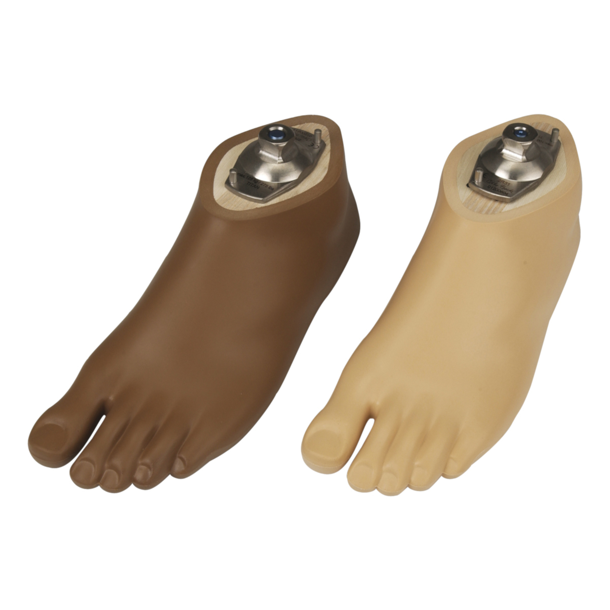 Dynamic Foot with Toes