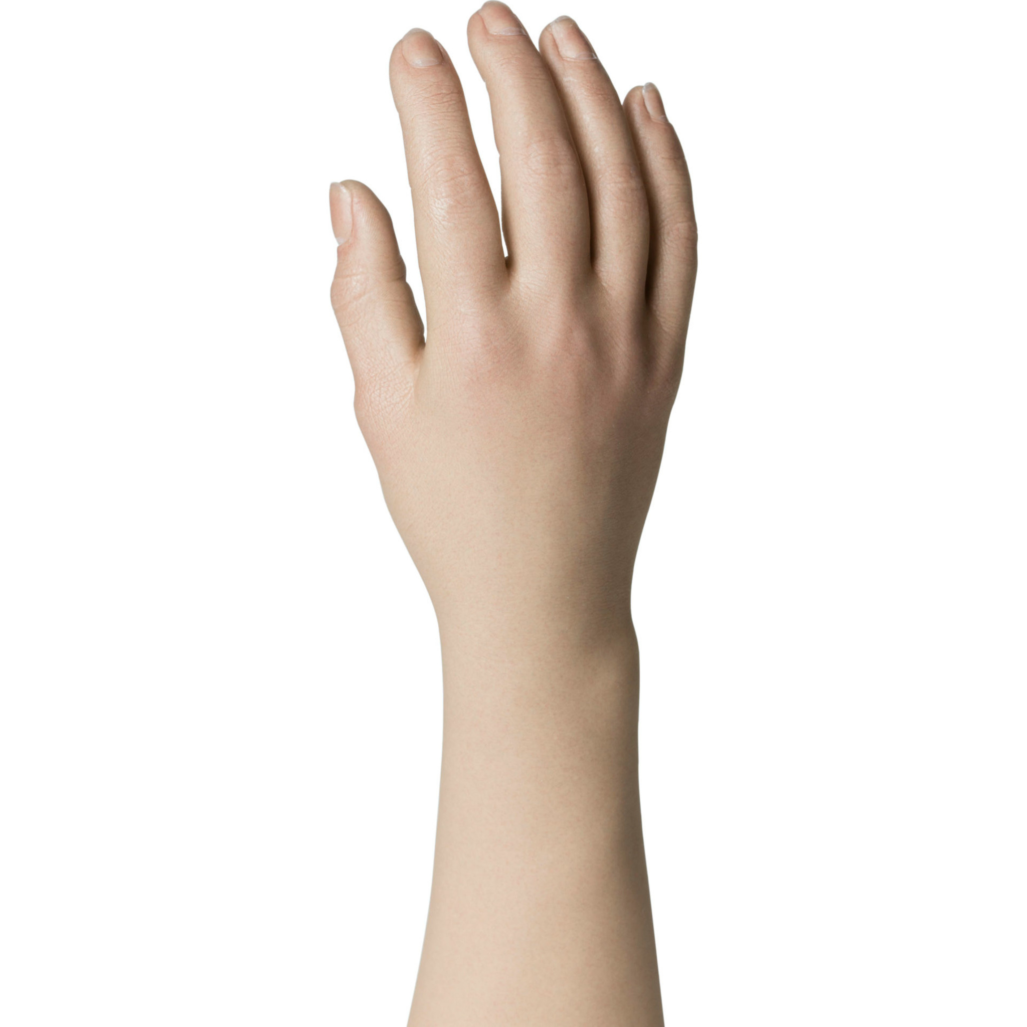 Natural Definition Glove - 20909/20910