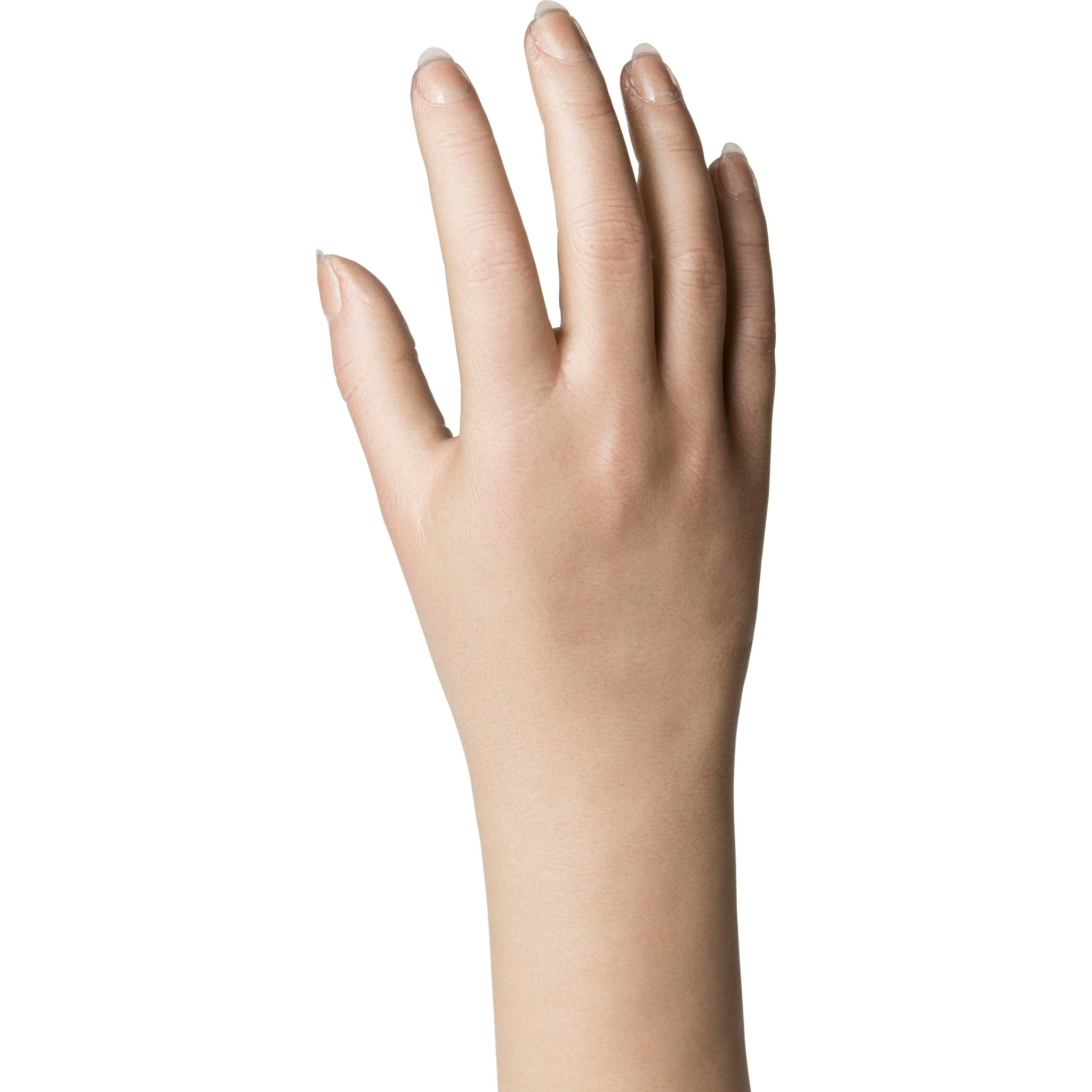 Natural Definition Glove - 22703/22704 Long Nails