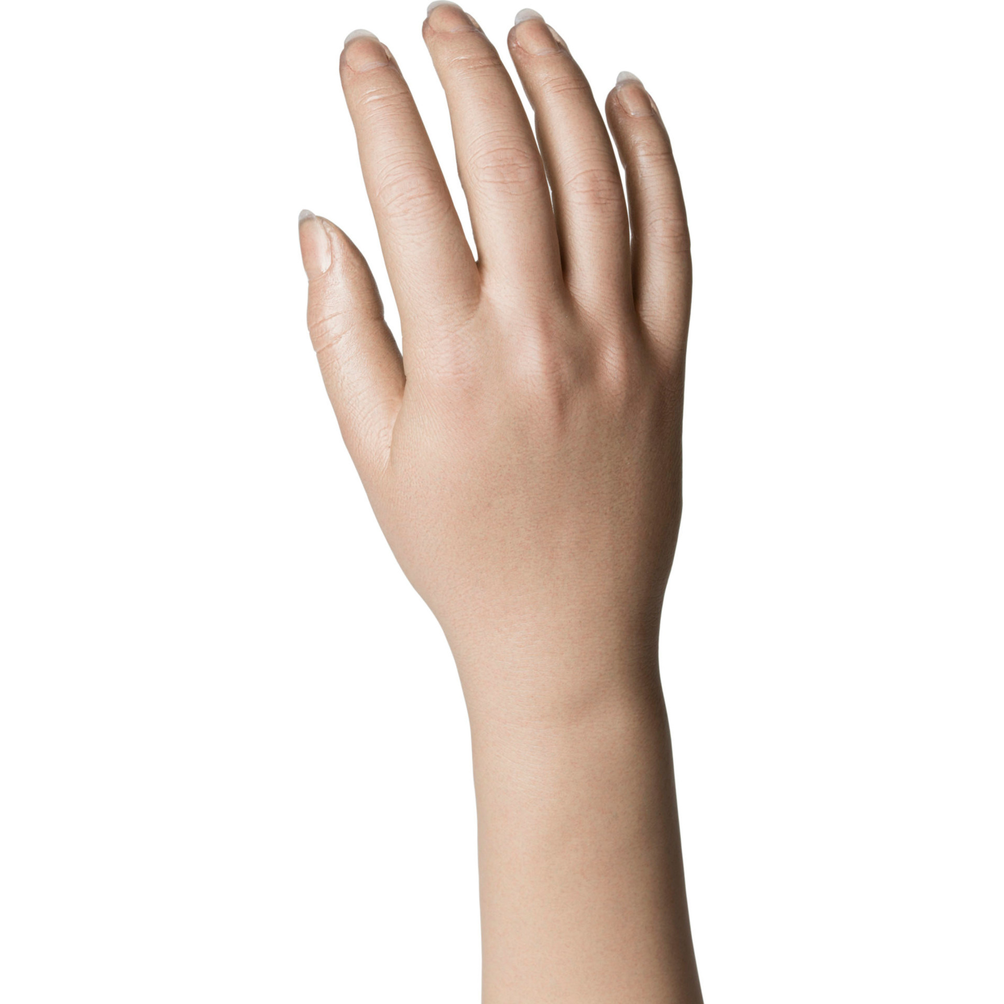 Natural Definition Glove - 22911/22912 Long Nails