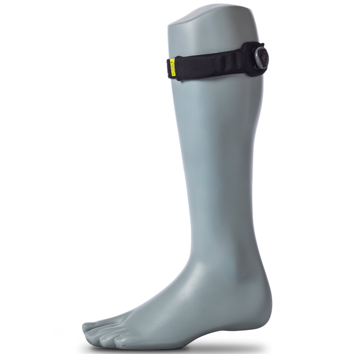 QuickFit® Strap + Buckle