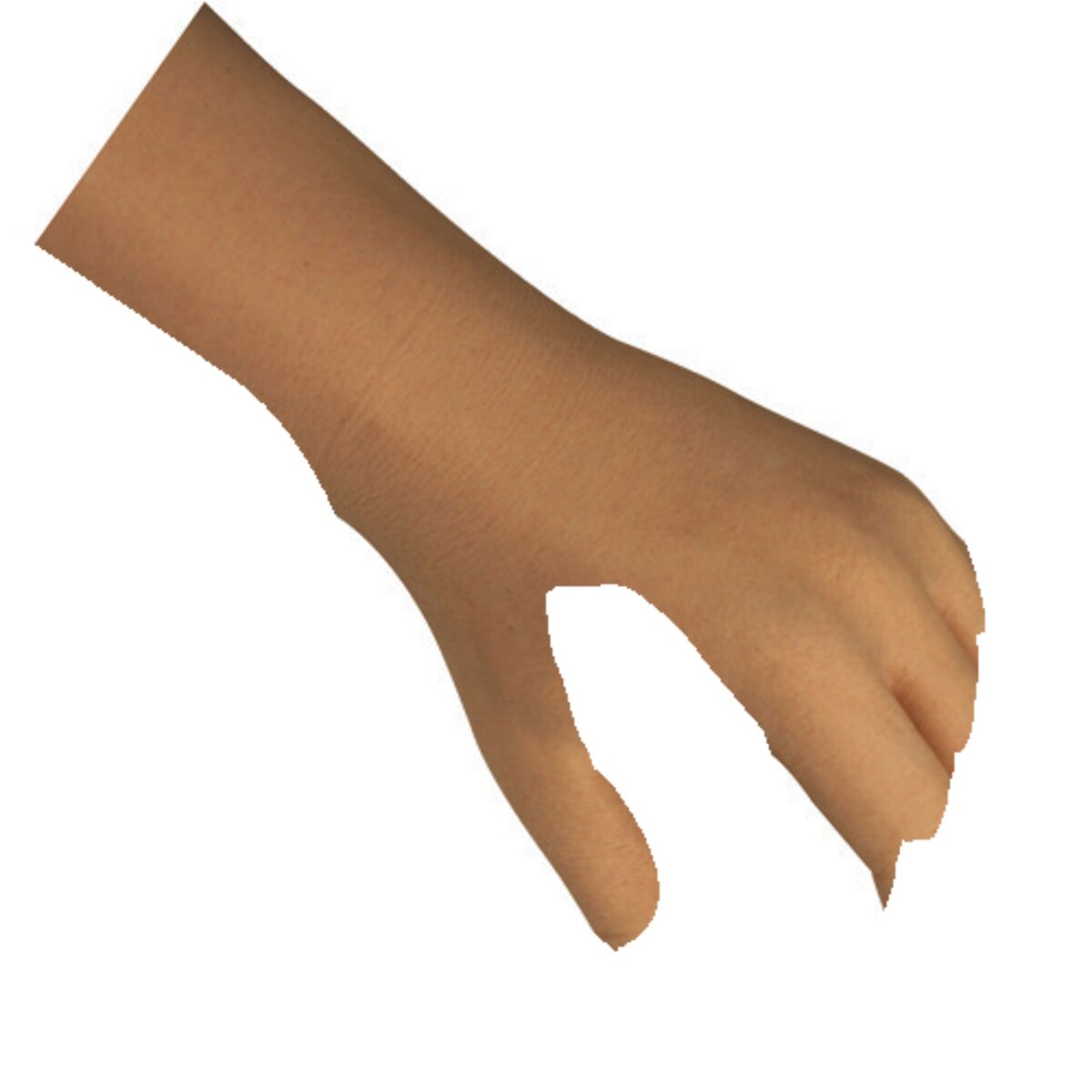 Gants prothétiques moulés pleine longueur Steeper USA