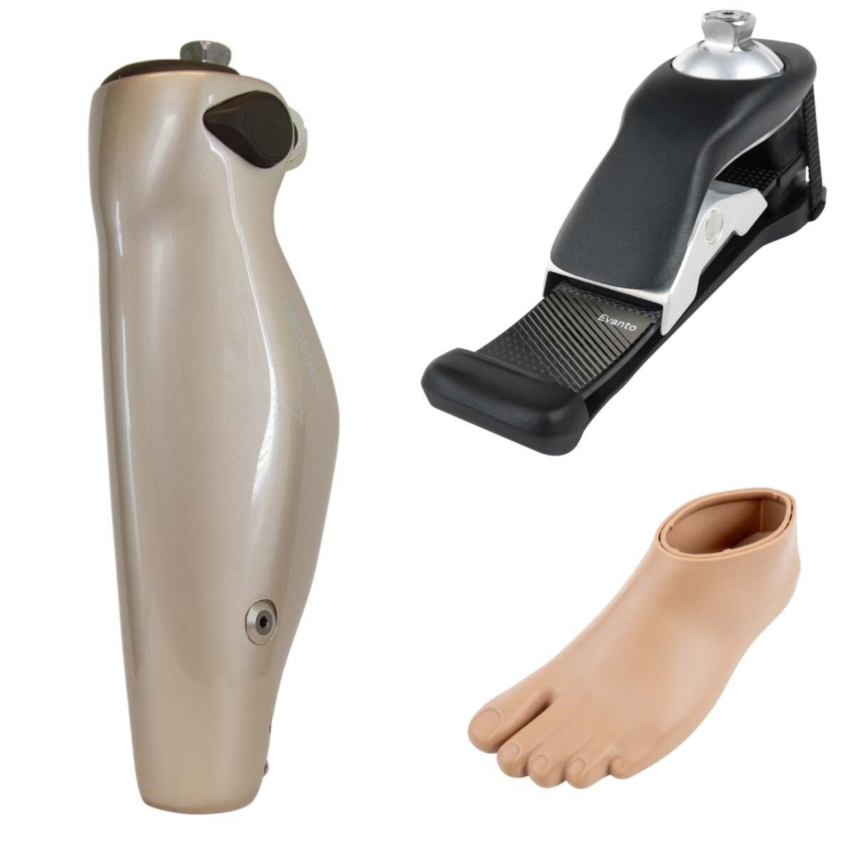 C-Leg® Microprocessor Knee and Evanto Basic Bundle