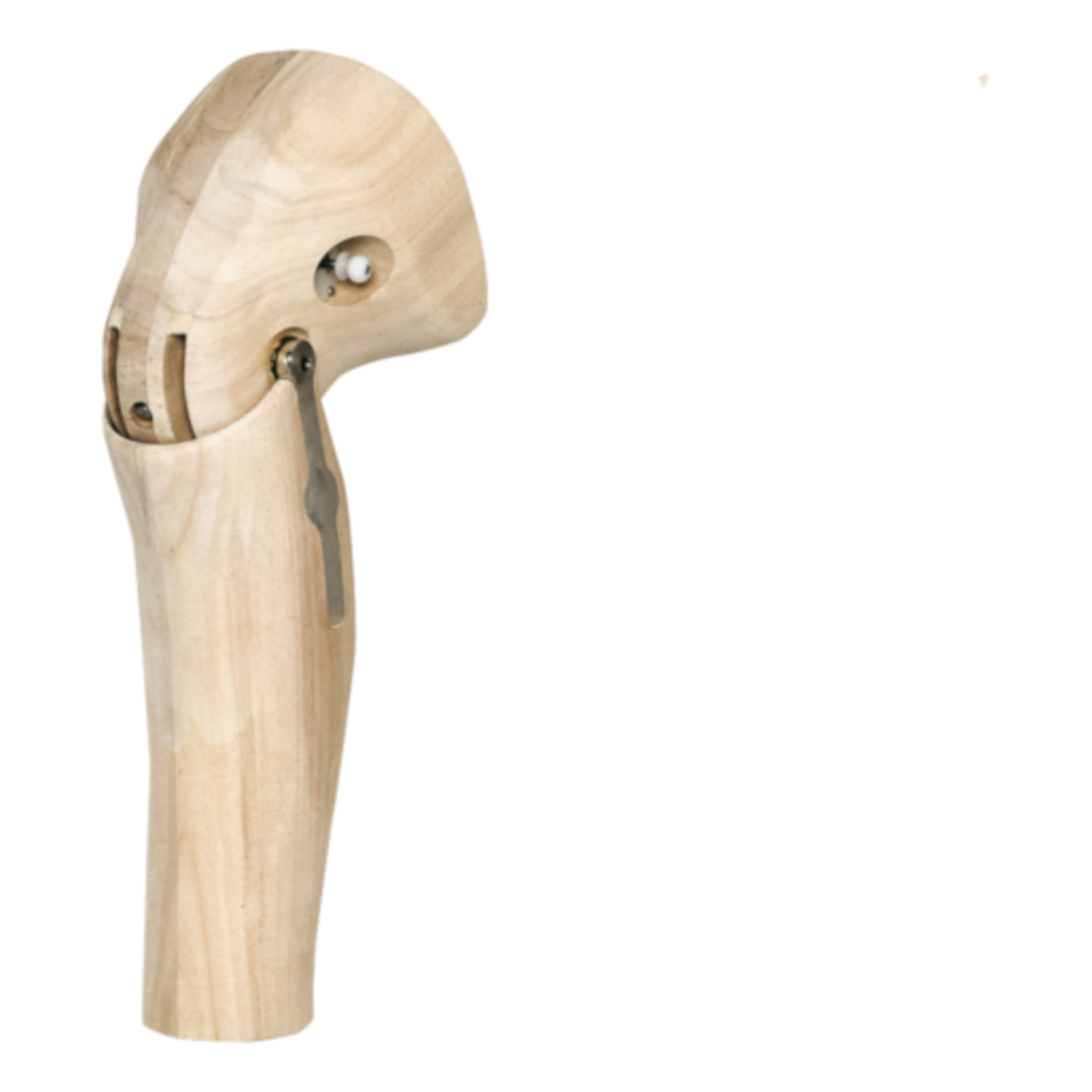 3P4 Knee-Shin Component