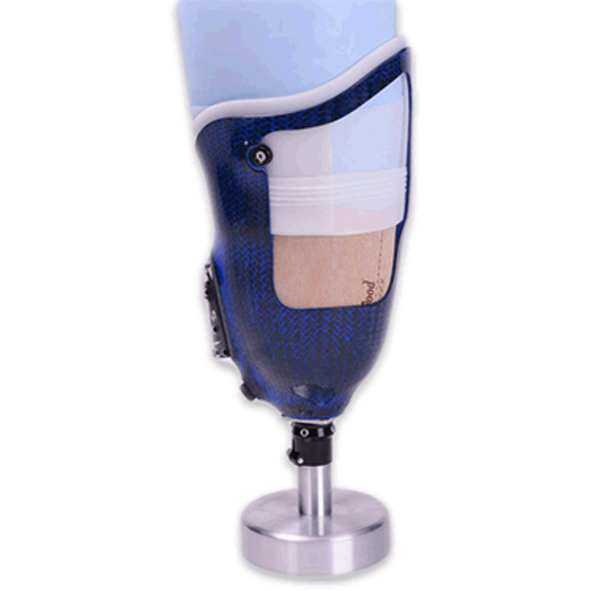 WillowWood One® TF System