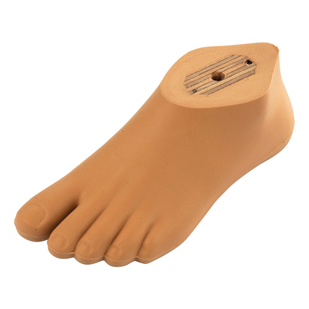 Dynamic Foot for Children