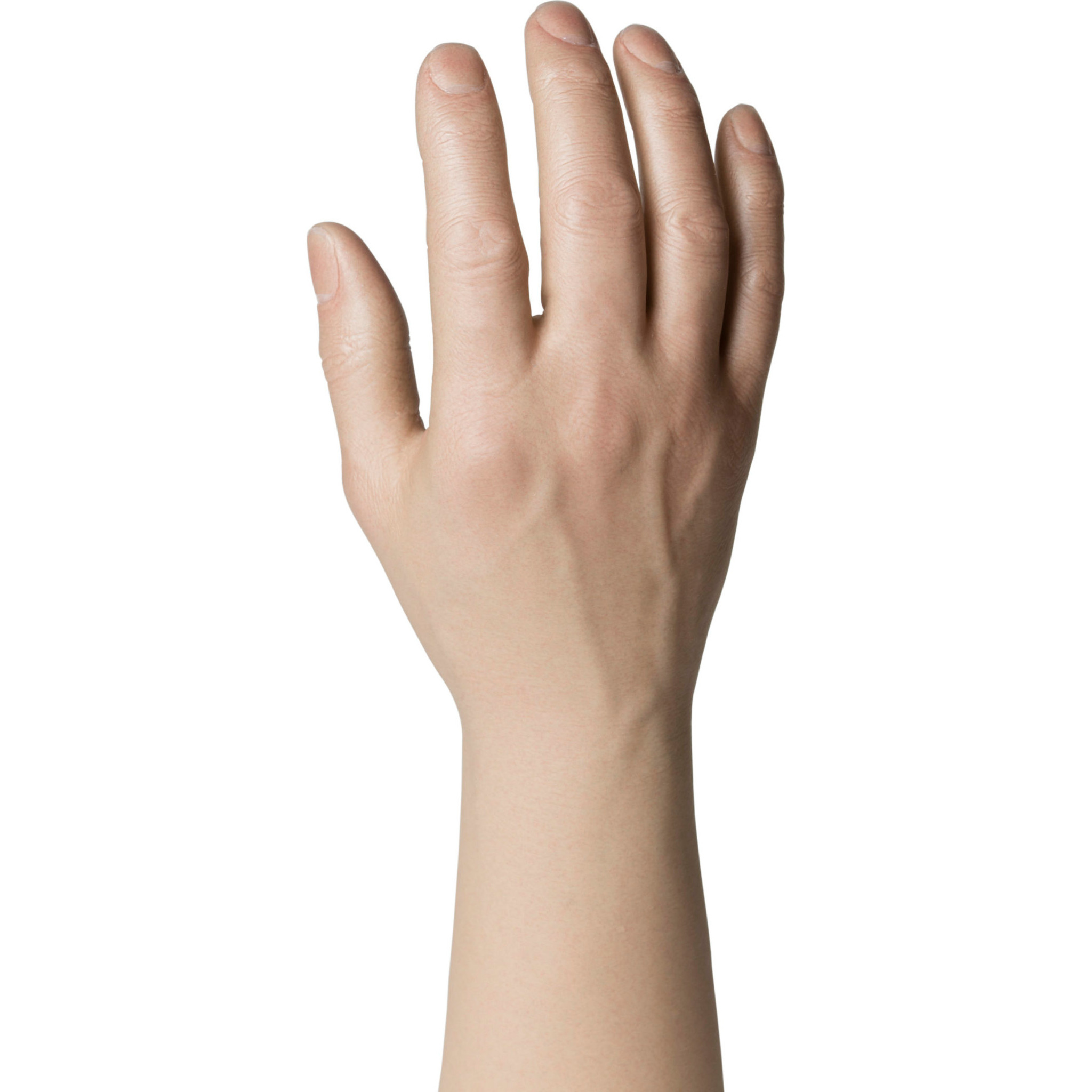 Gant prothétique masculin à définition naturelle - 30913/30914 veines saillantes