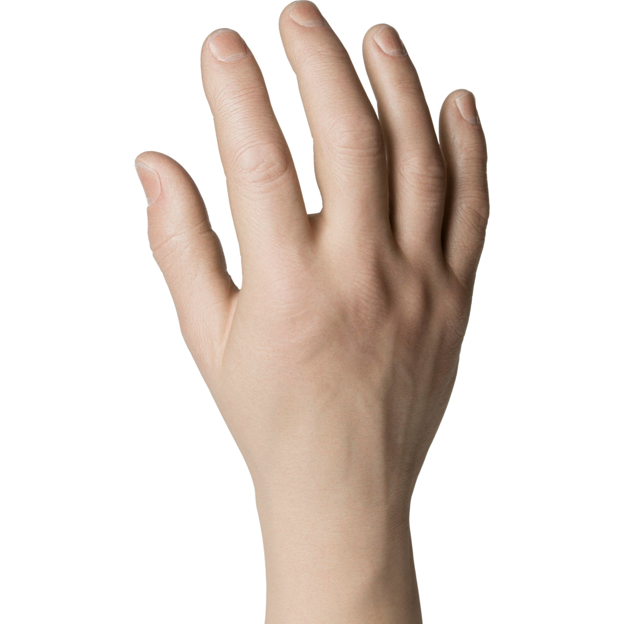 Natural Definition Glove Male – 30921/30922 Stout Plump