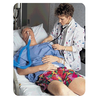 Bird & Cronin Spiffys® Modesty Shorts