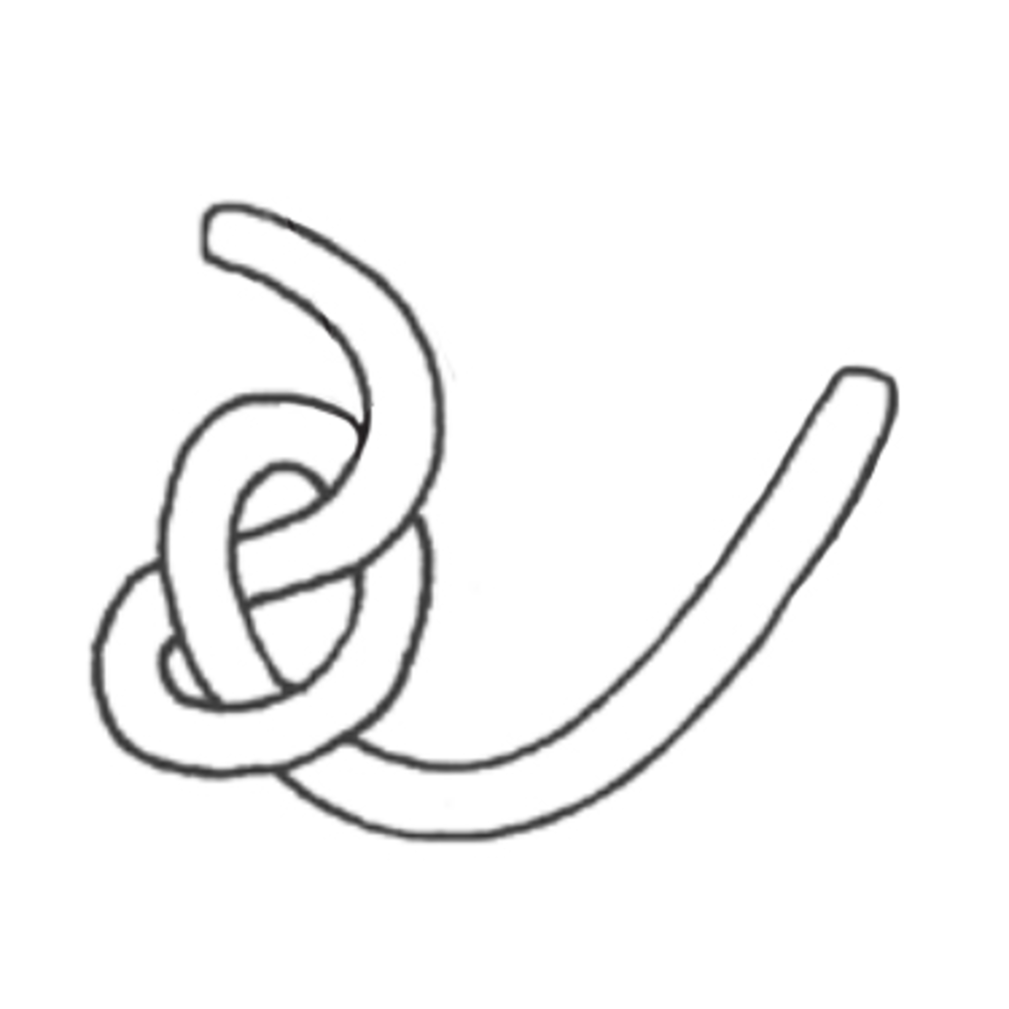 Fixation de corde Alpha Lanyard