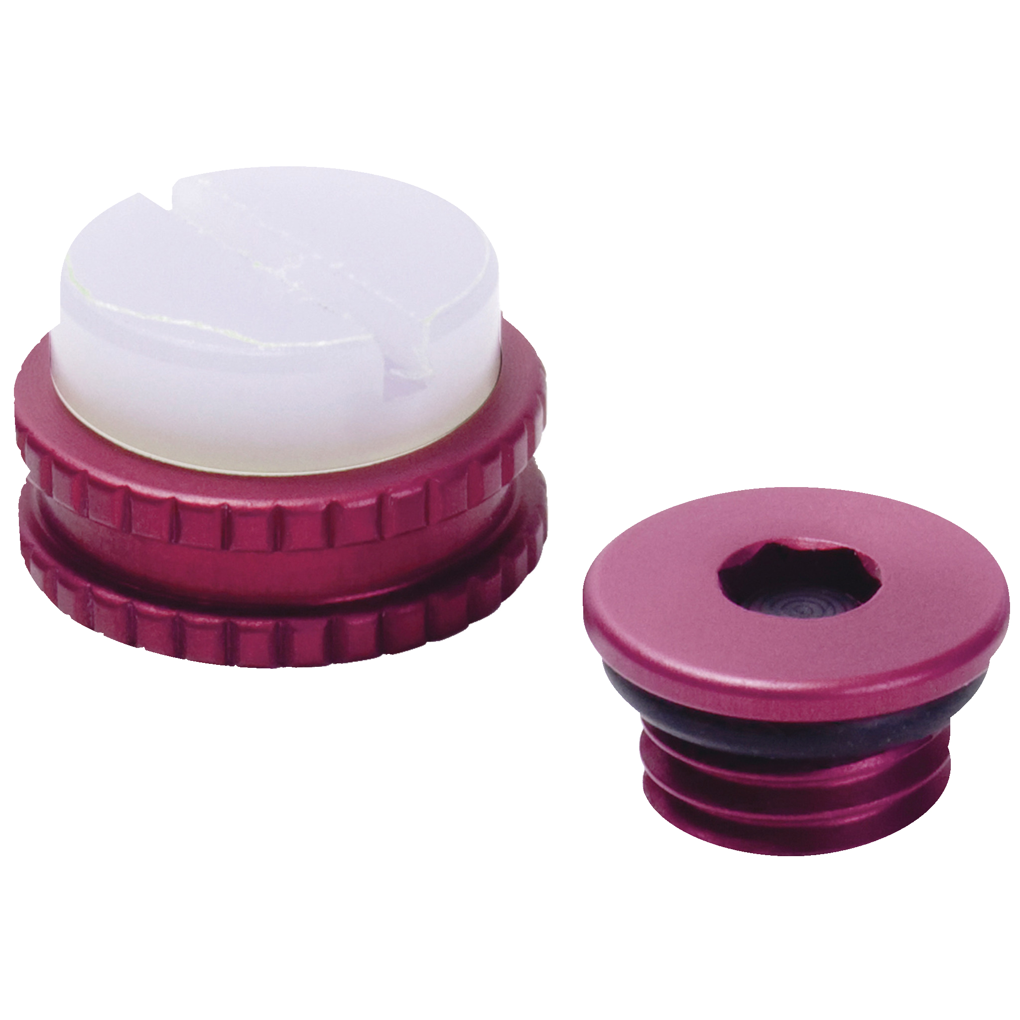 CSS Valve Lamination Housing with Plastic Dummy