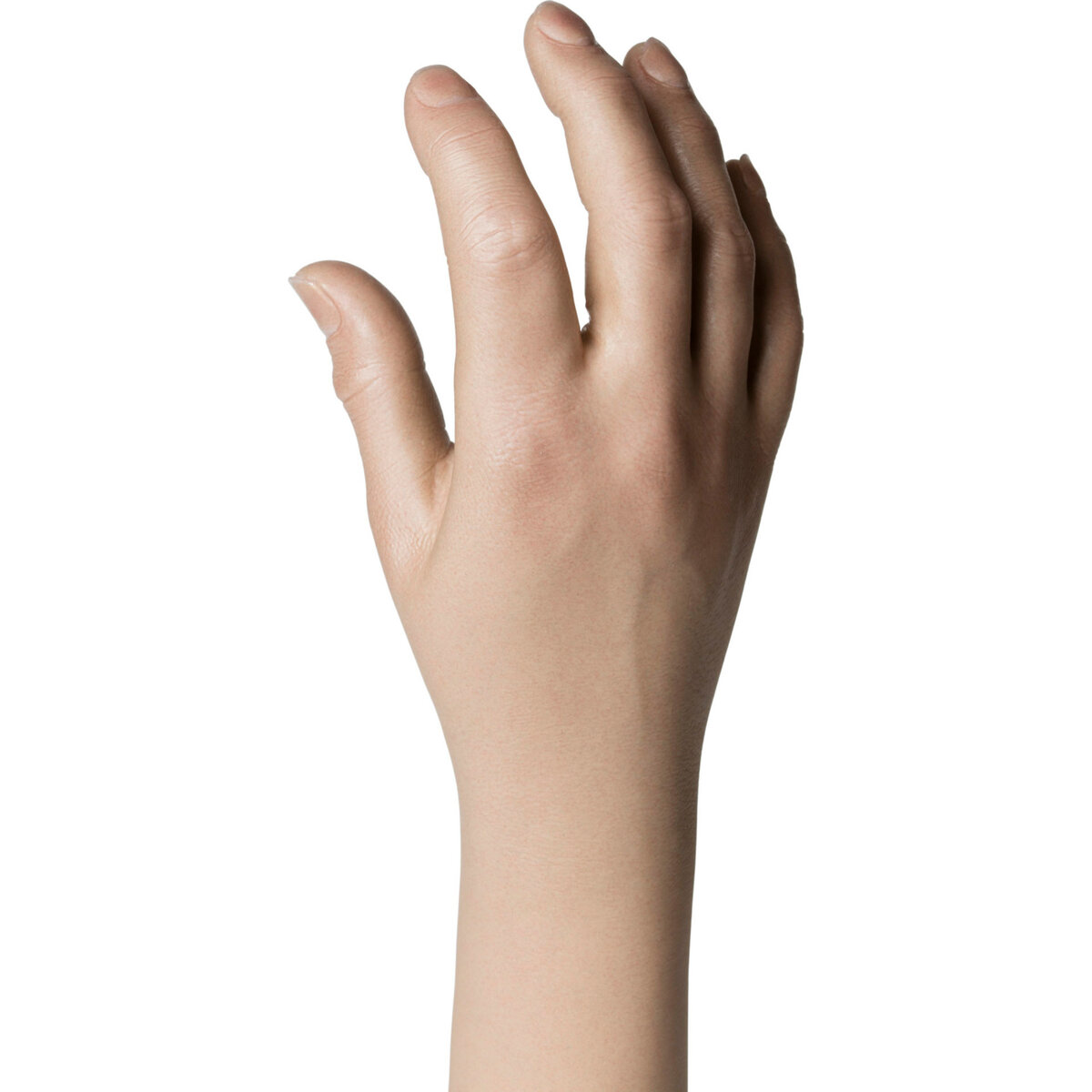 Natural Definition Glove - 20917/20918 Prominent Skin Structure