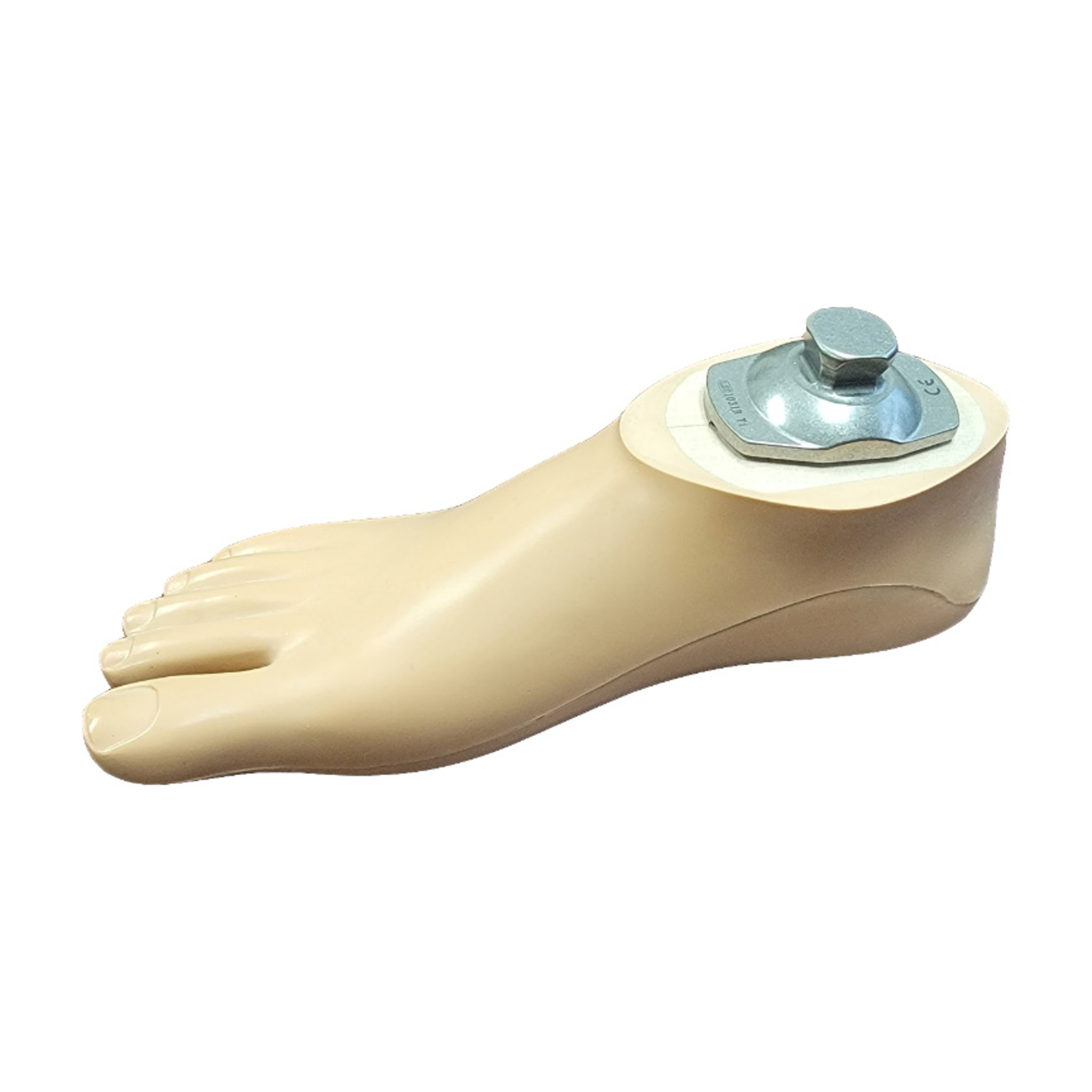 Heavy Duty SACH 500 Foot