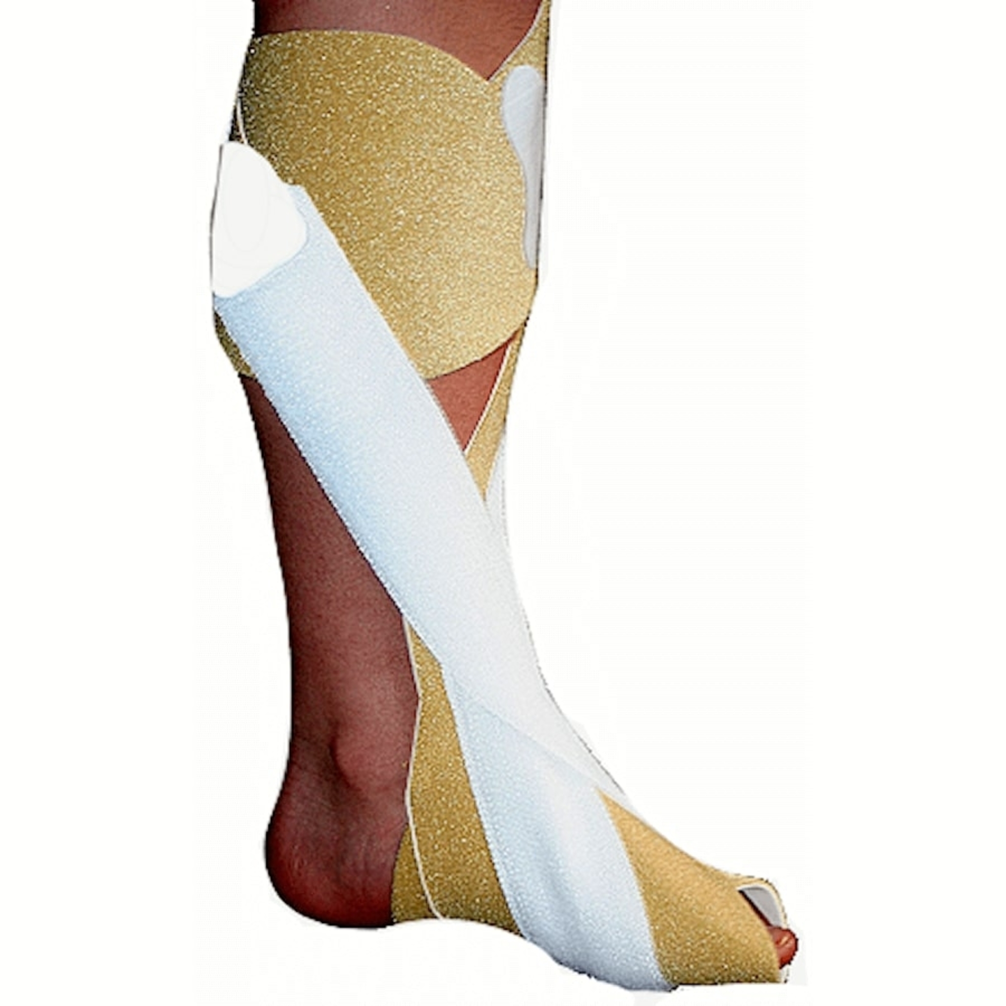 Ankle Dorsiflexion Assist (DFA) System