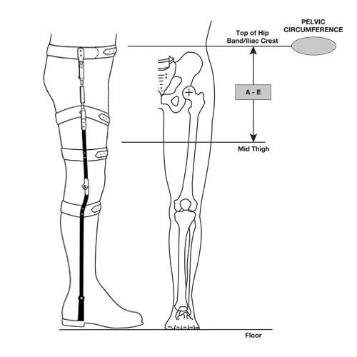 Model K-400 - Bilateral Hip-KAFO Torsion Splint
