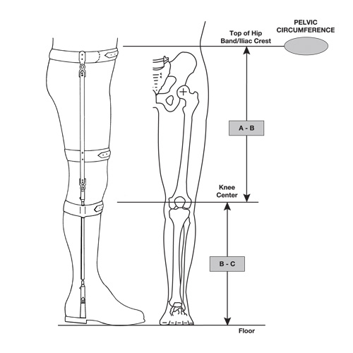 Model R-400 - Bilateral Hip-Knee-Ankle Torsion Splint