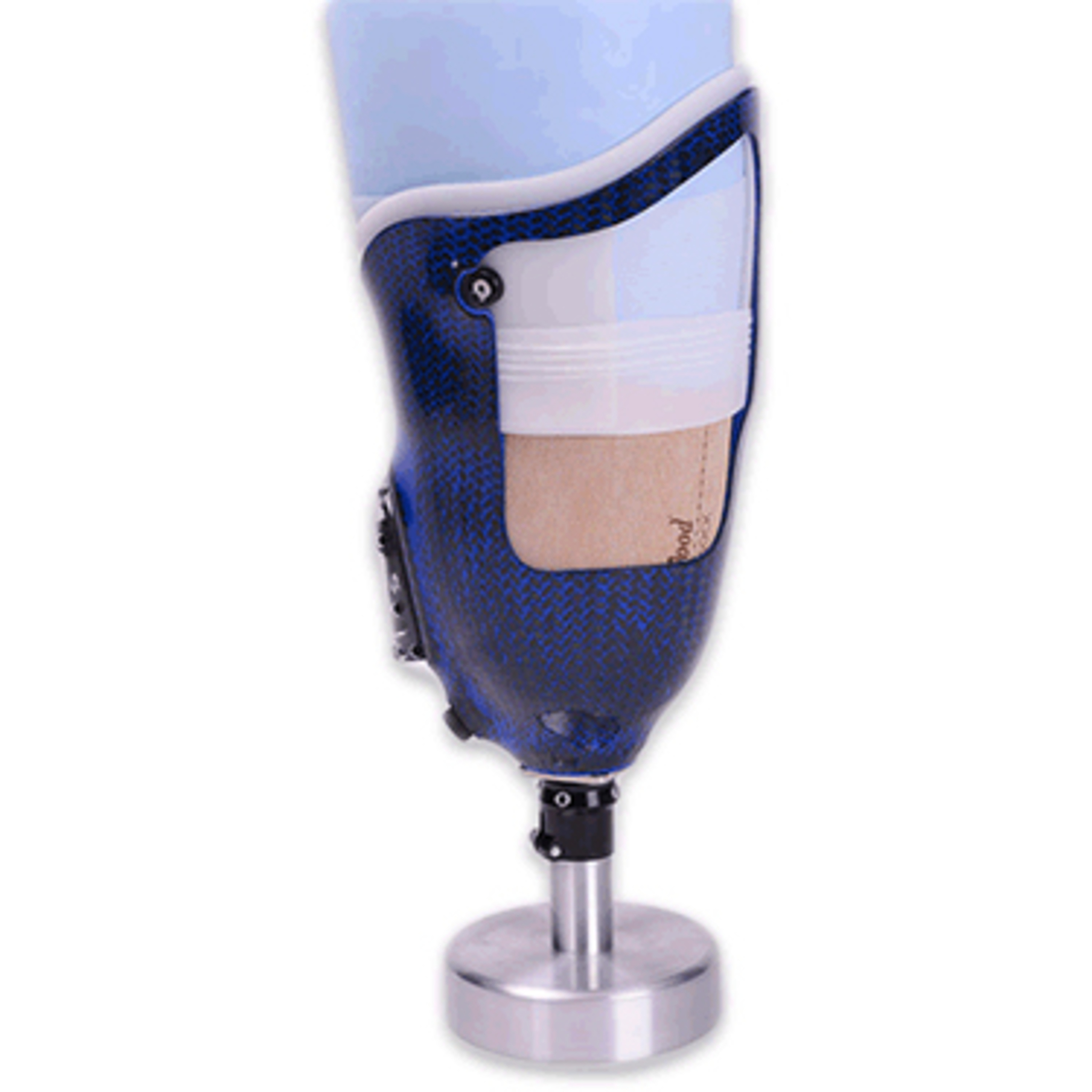 Système transfémoral WillowWoodMD One