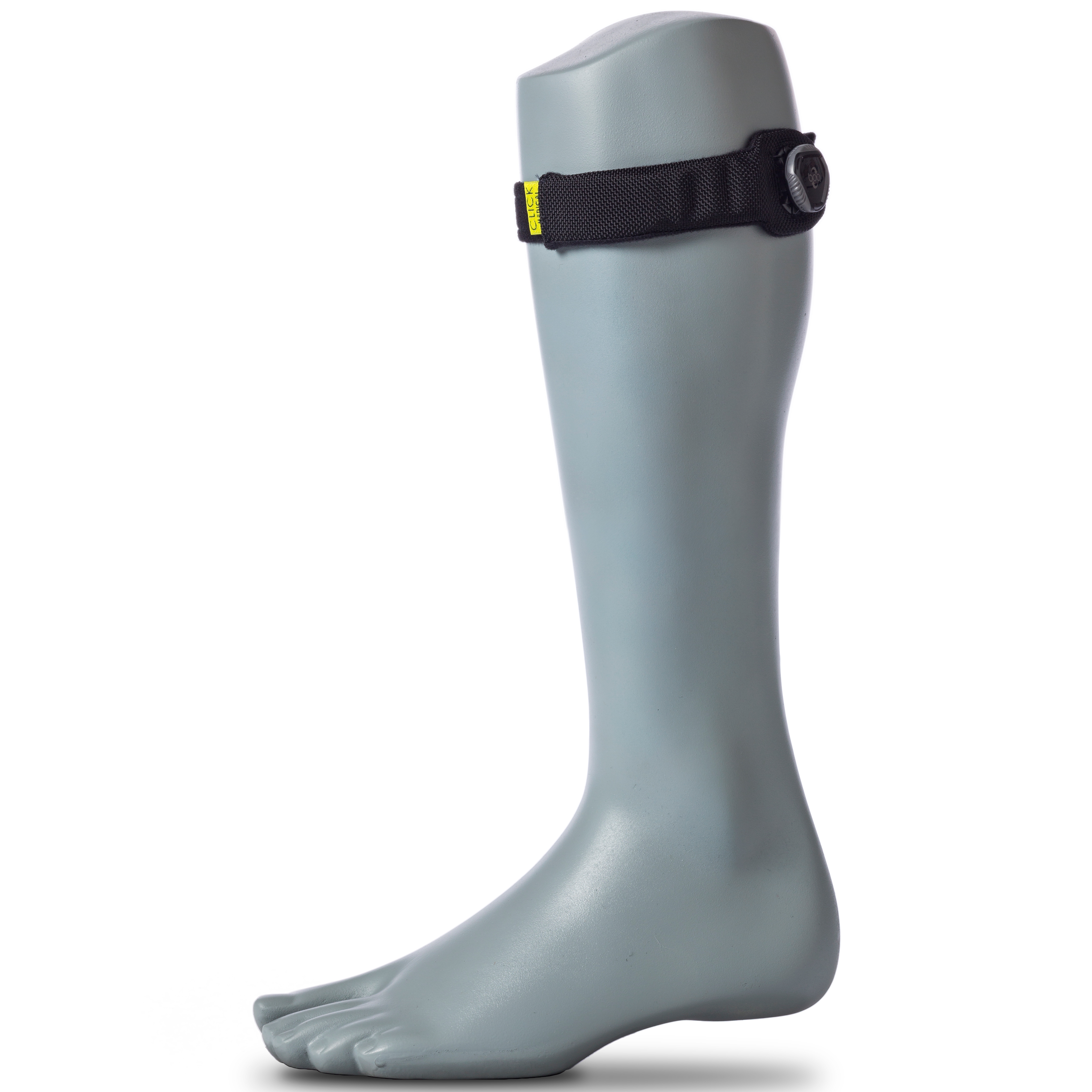 Courroie QuickFit + Boucle