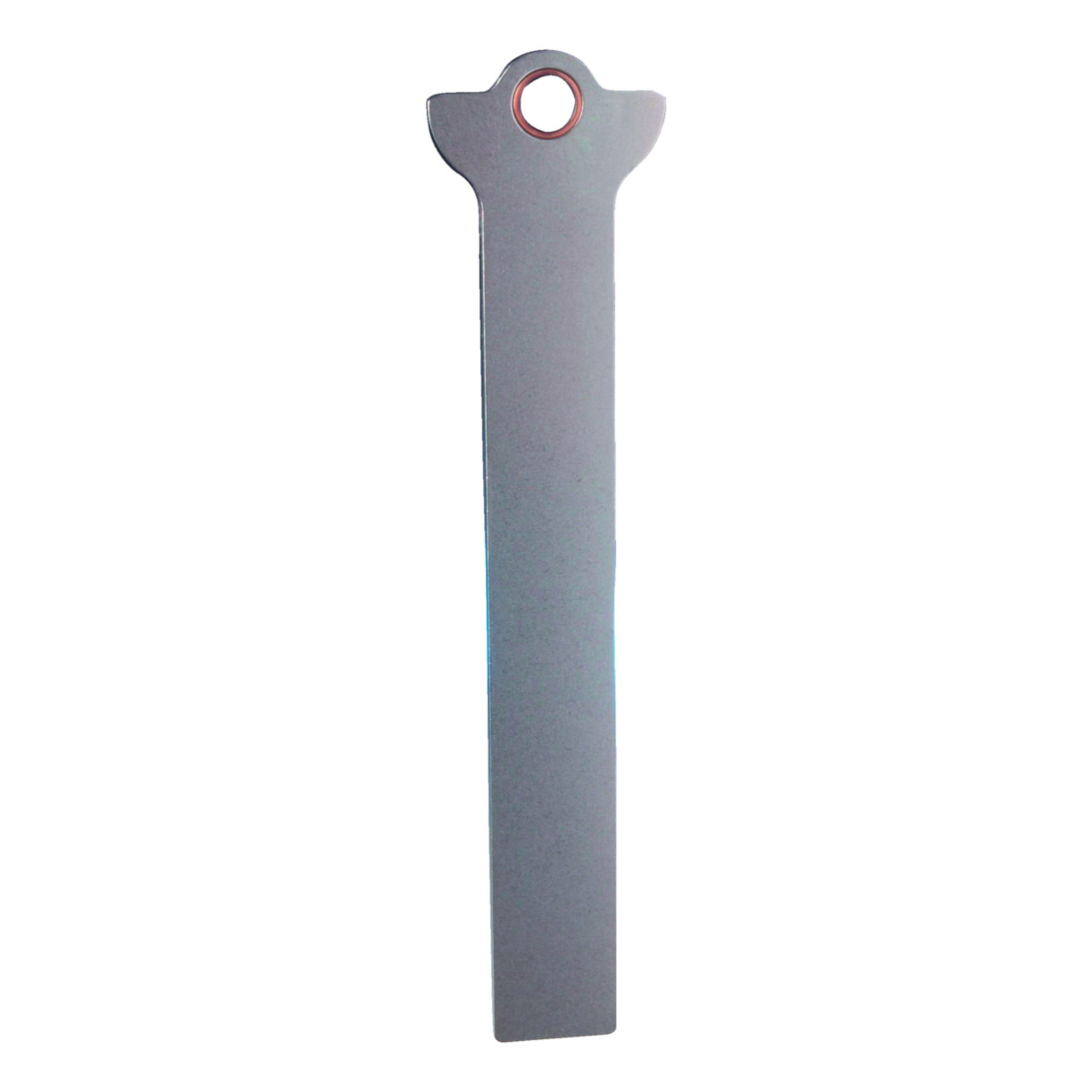 System Foot Stirrup Shoe