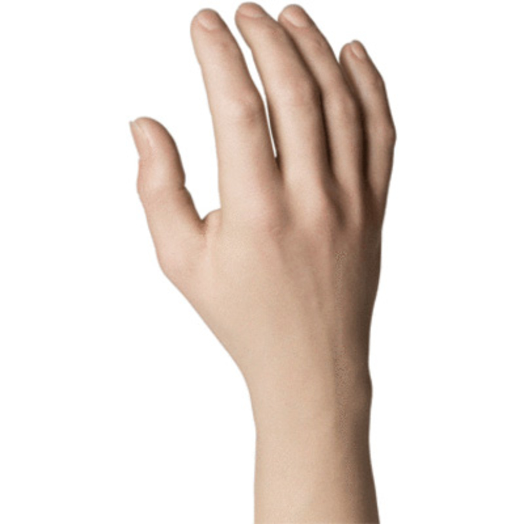 Gants Natural Definition de Motion Control, pour mains Ottobock