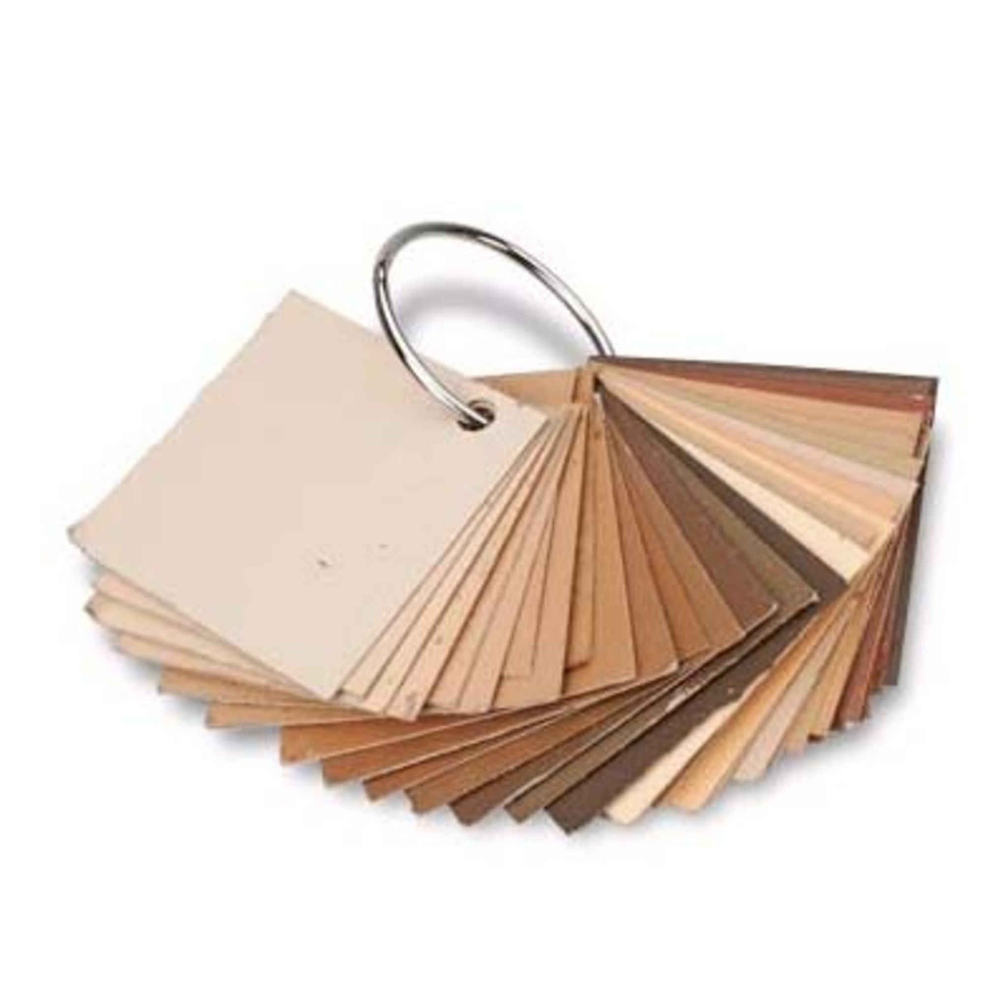 Flesh Color System