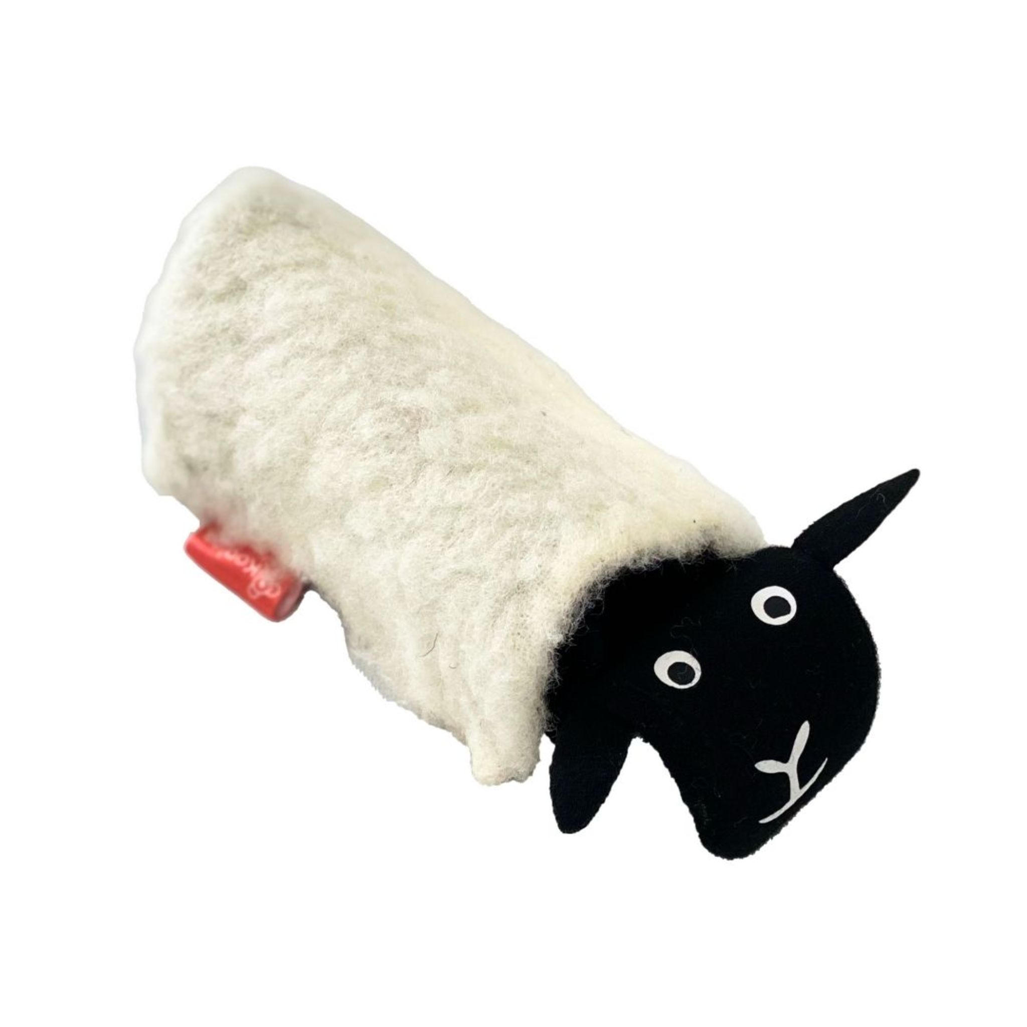 Joeyy Sheep