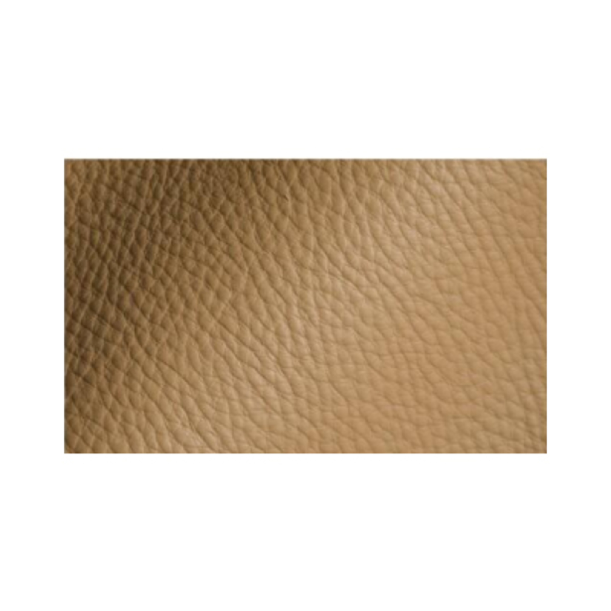Leather Parchment
