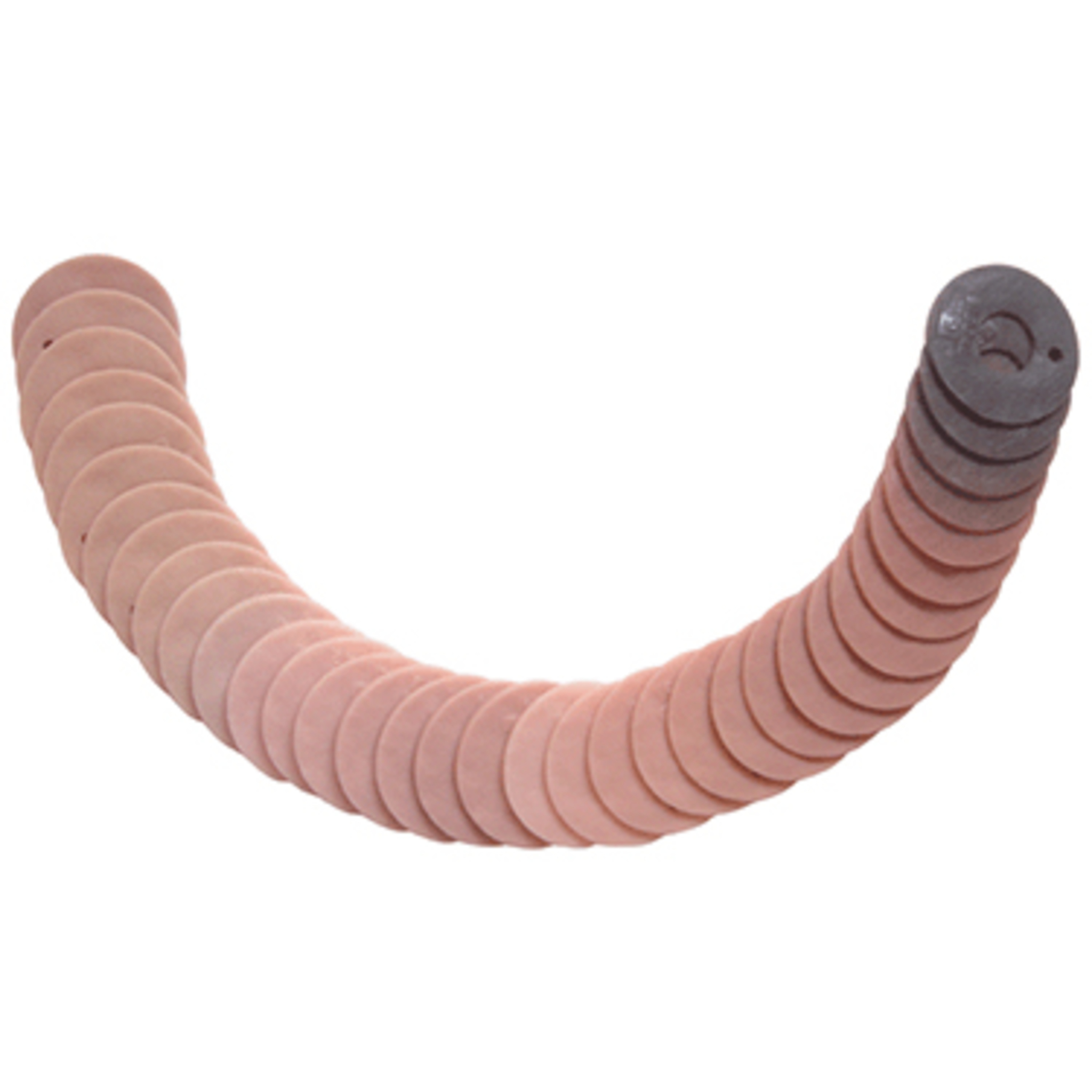 Couleurs pour coques anatomiques en silicone