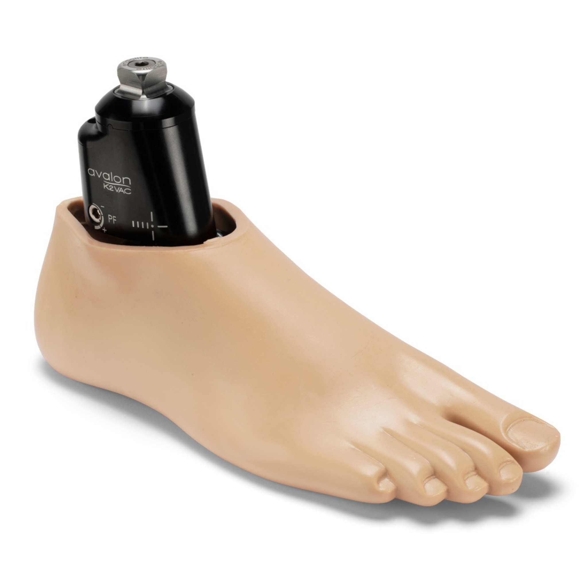 AvalonK2 VAC